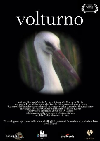 Volturno Poster of Volturno