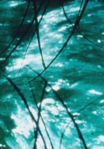 The Time Slit Poster of The Time Slit