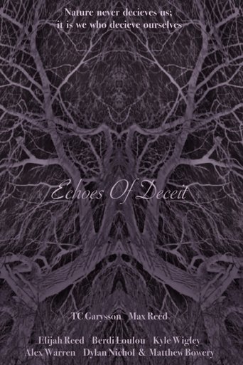 Poster of Echoes Of Deceit