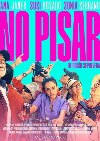 Poster of No pisar
