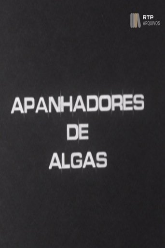 Apanhadores de Algas Poster of Apanhadores de Algas
