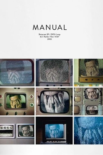 Manual Poster of Manual