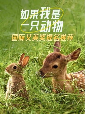 Portrait for If I were an Animal - Specials