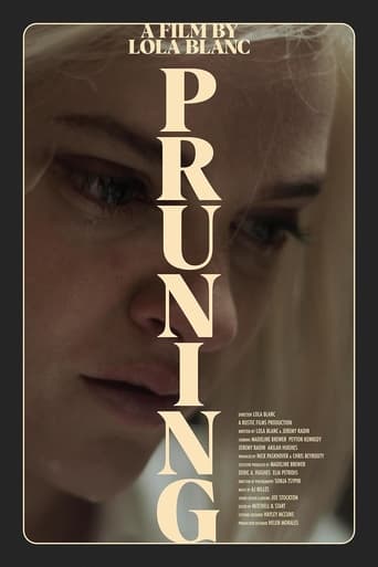 Poster of Pruning