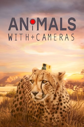 Animals with Cameras Poster of Animals with Cameras