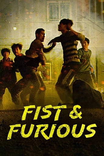 Poster of Fist & Furious