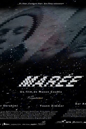 Poster of Marée, histoires de montagne