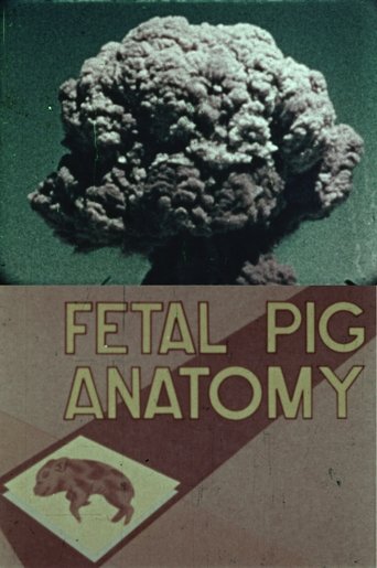 Fetal Pig Anatomy Poster of Fetal Pig Anatomy