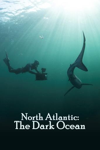Poster of North Atlantic: The Dark Ocean