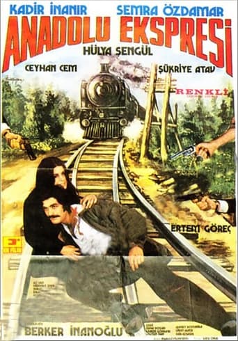 Poster of Anadolu Ekspresi