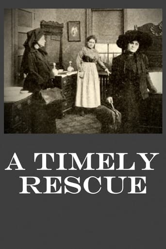 Poster of A Timely Rescue