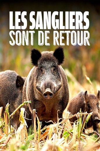 Poster of Wild Boar: The Comeback