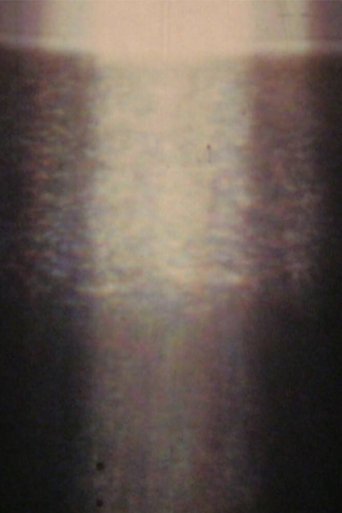 Poster of Palms
