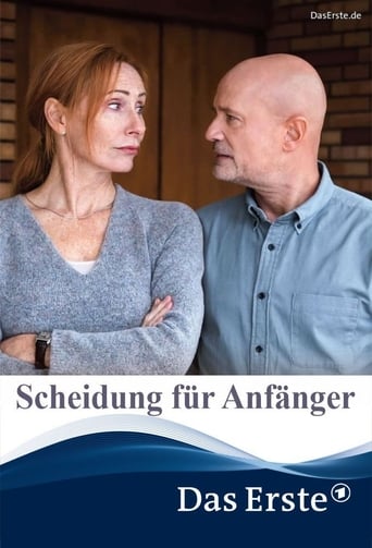 Poster of Scheidung für Anfänger
