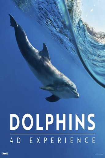 Dolphins 4-D Experience Poster of Dolphins 4-D Experience