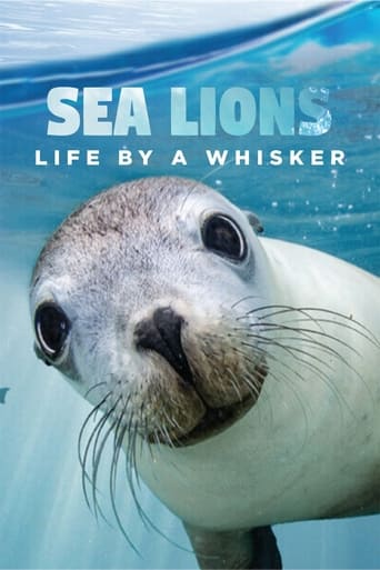 Poster of Sea Lions: Life By a Whisker