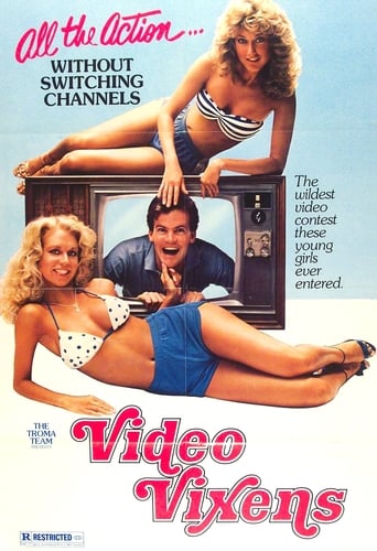 Poster of Video Vixens!