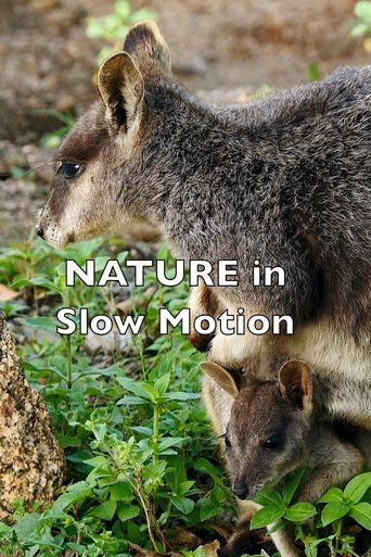 Nature In Slow Motion Poster of Nature In Slow Motion