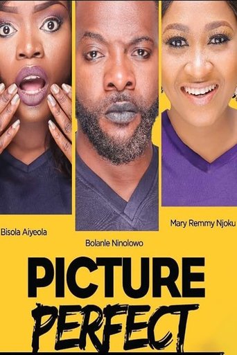 Picture Perfect Poster of Picture Perfect