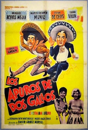 Poster of Los apuros de dos gallos
