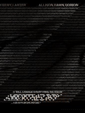 Poster of S.I.N. Theory