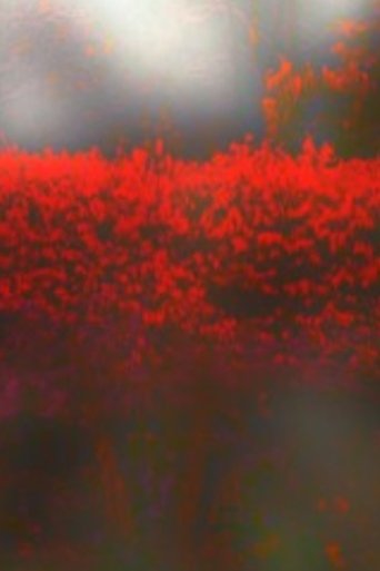 Burning Bush Poster of Burning Bush