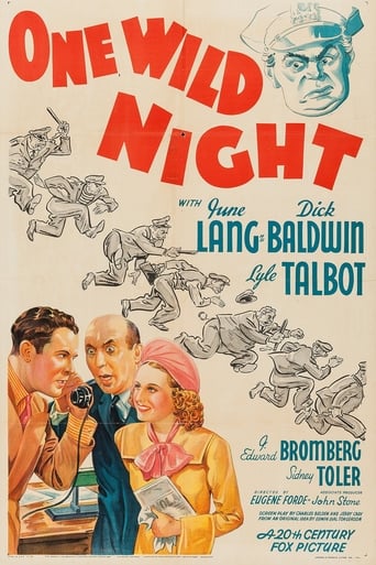 Poster of One Wild Night