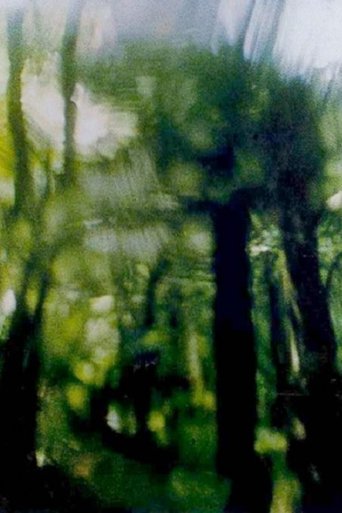 Green Canopy Poster of Green Canopy