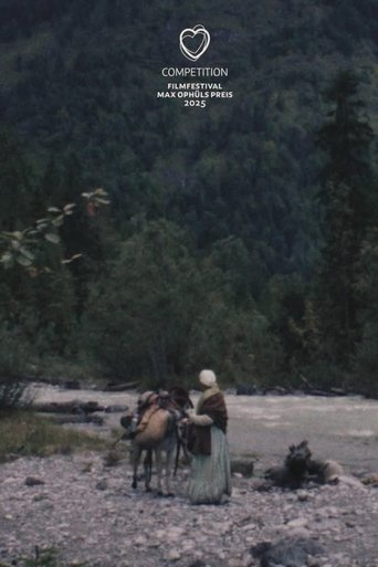Poster of Gold Rush