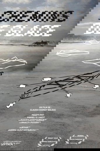 Poster of Chemins de glace