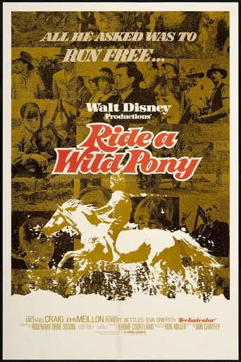 Poster of Ride a Wild Pony