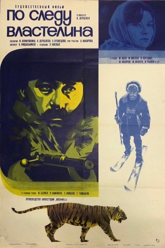 Poster of Po sledu vlastelina