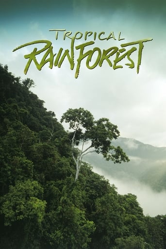 Poster of Tropical Rainforest