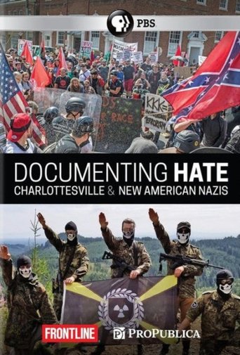 Poster of Documenting Hate: New American Nazis