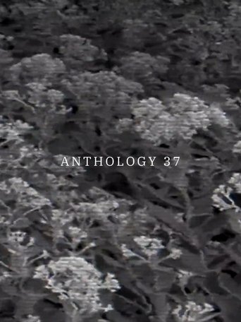 Poster of Anthology 37