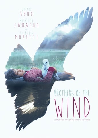Poster of Brothers of the Wind
