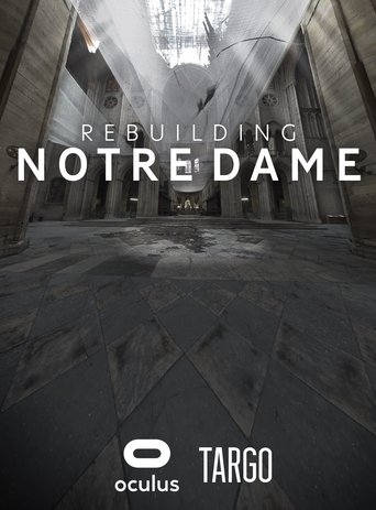 Rebuilding Notre Dame Poster of Rebuilding Notre Dame