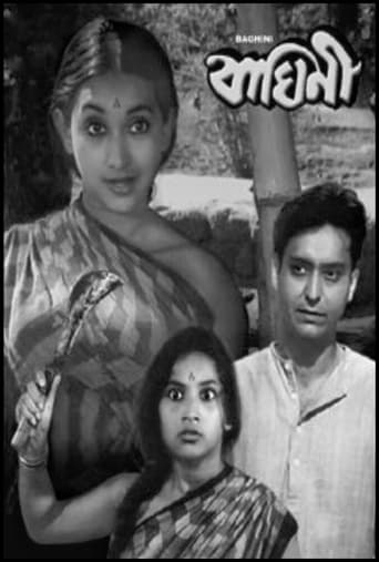 Poster of Baghini