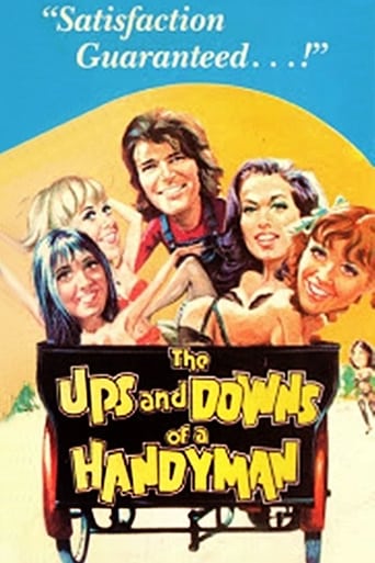 Poster of The Ups and Downs of a Handyman
