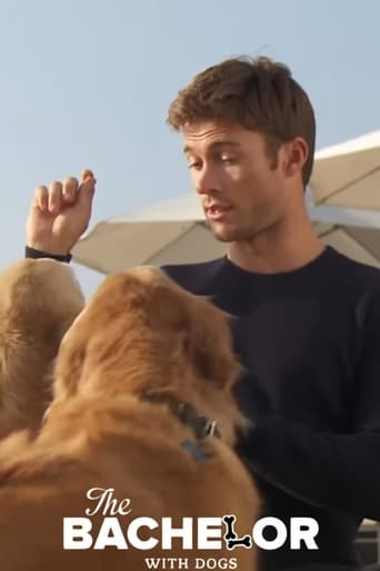 Poster of The Bachelor with Dogs and Scott Eastwood