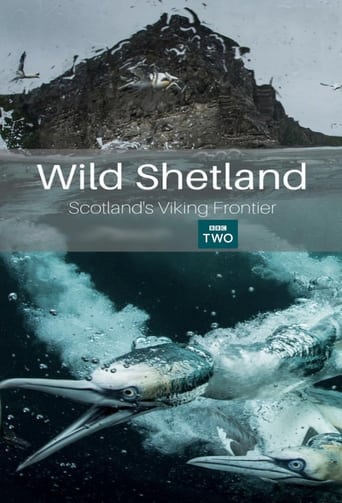 Poster of Wild Shetland: Scotland's Viking Frontier