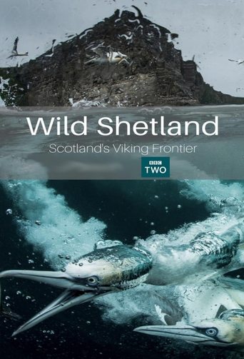 Poster of Wild Shetland: Scotland's Viking Frontier