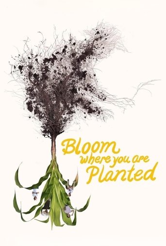 Poster of Bloom Where You Are Planted