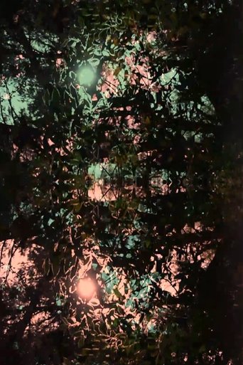 Poster of Imitation of light