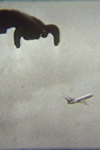 Flying Poster of Flying