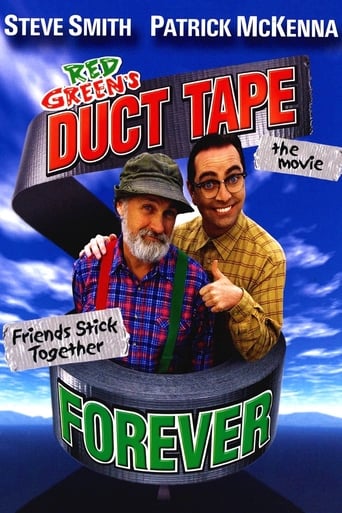 Poster of Duct Tape Forever