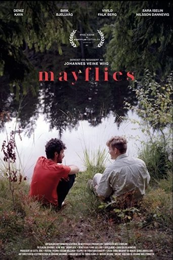 Mayflies Poster of Mayflies