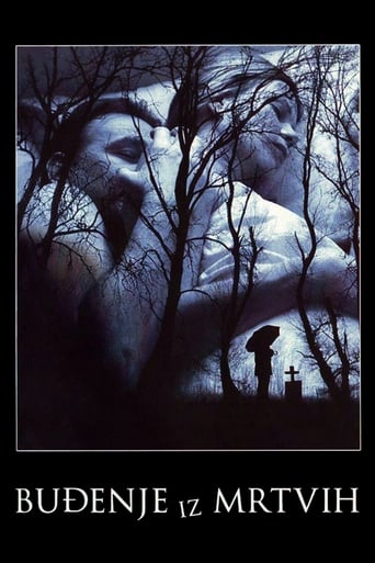 Poster of Awakening from the Dead