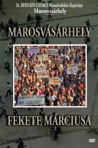 Poster of Black March of Târgu Mureș