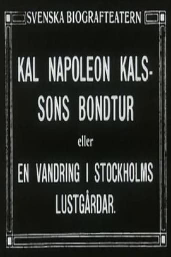Poster of Kal Napoleon Kalsson's Farm Ride